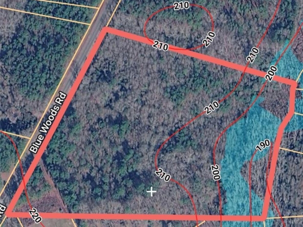 Blue Woods Road, Laurinburg, NC 28352 - 16.15 acre tract