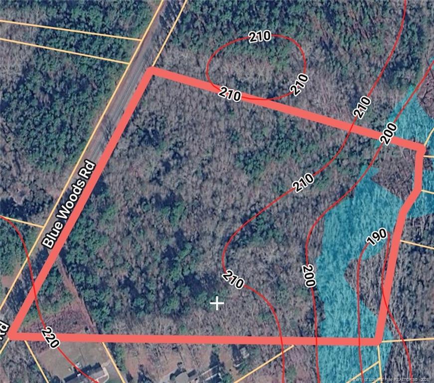 Blue Woods Road, Laurinburg, NC 28352 - 16.15 acre tract
