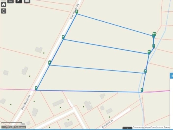 Blue Woods Road, Laurinburg, NC 28352 - 5.38 acre tract